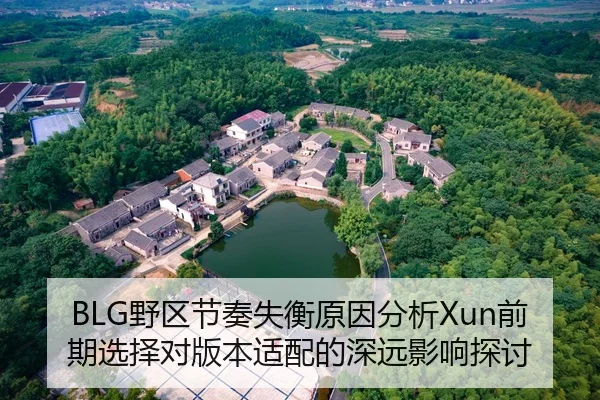 BLG野区节奏失衡原因分析Xun前期选择对版本适配的深远影响探讨