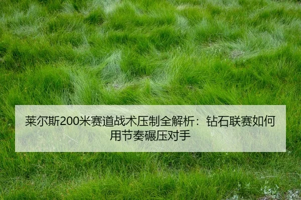 lai-er-si-mi-sai-dao-zhan-shu-ya-zhi-quan-jie-xi-zuan-shi-lian-sai-ru-he-yong-jie-zou-nian-ya-dui-shou-2-488.jpg