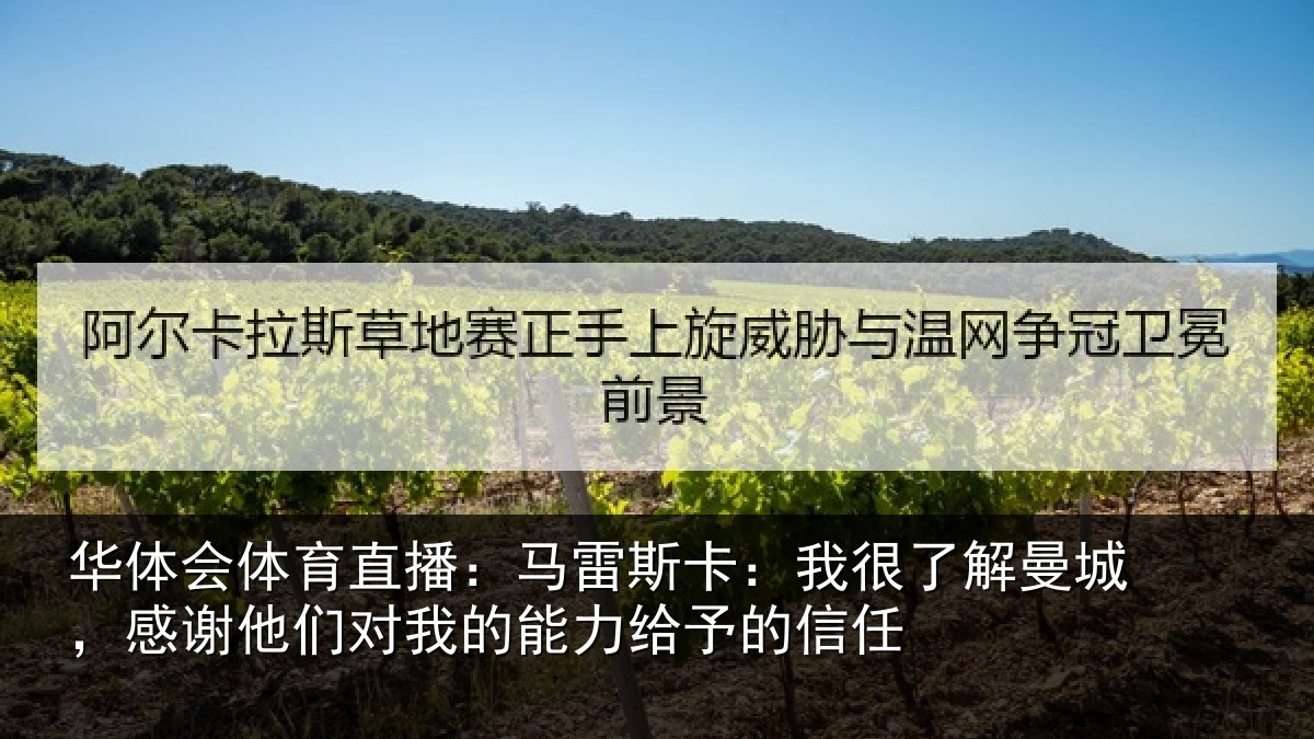 华体会体育直播：马雷相关情况，感谢相关情况予的信任