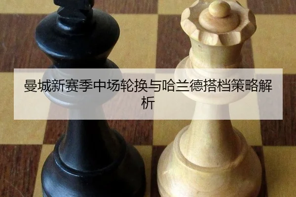 man-cheng-xin-sai-ji-zhong-chang-lun-huan-yu-ha-lan-de-da-dang-ce-lve-jie-xi-3-676.jpg