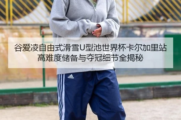 gu-ai-ling-zi-you-shi-hua-xue-xing-chi-shi-jie-bei-ka-er-jia-li-zhan-gao-nan-du-chu-bei-yu-duo-guan-xi-jie-quan-jie-mi-3-913.jpg