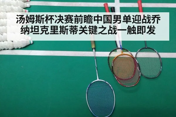 badminton final match