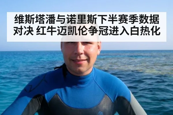 维斯塔潘与诺里斯下半赛季数据对决 红牛迈凯伦争冠进入白热化